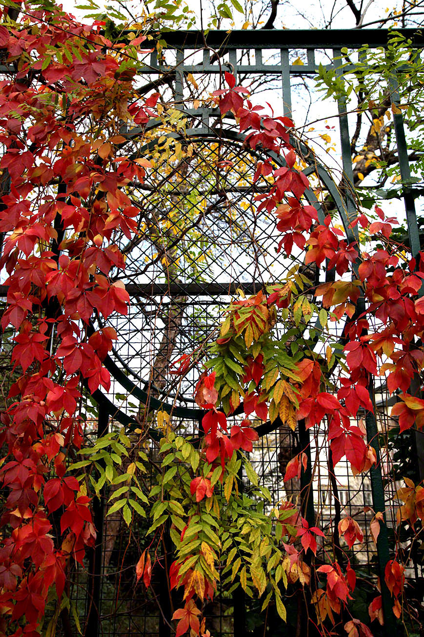 Wien, Strudlhofstiege