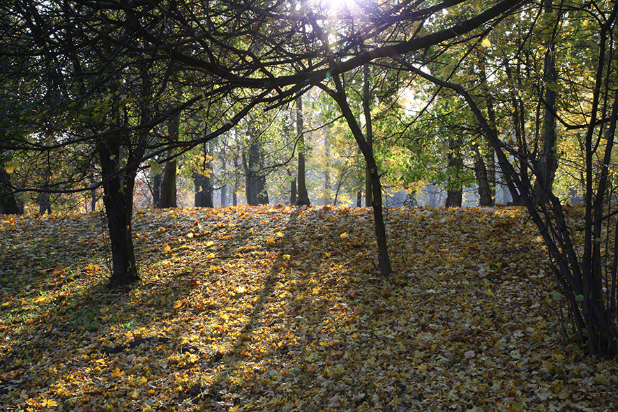 Prater - Weg am Heustadlwasser