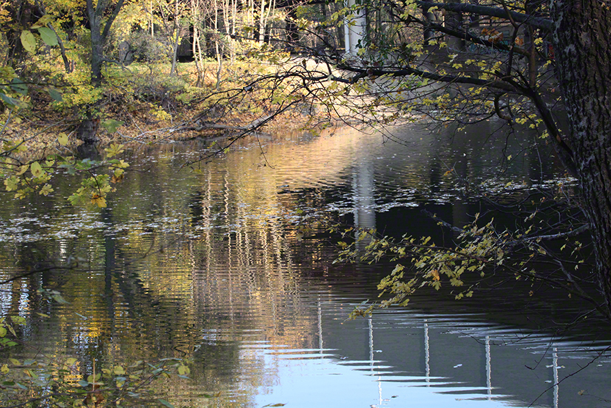 Prater - am Heustadlwasser