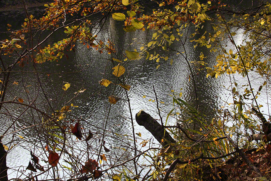 Prater - am Heustadlwasser