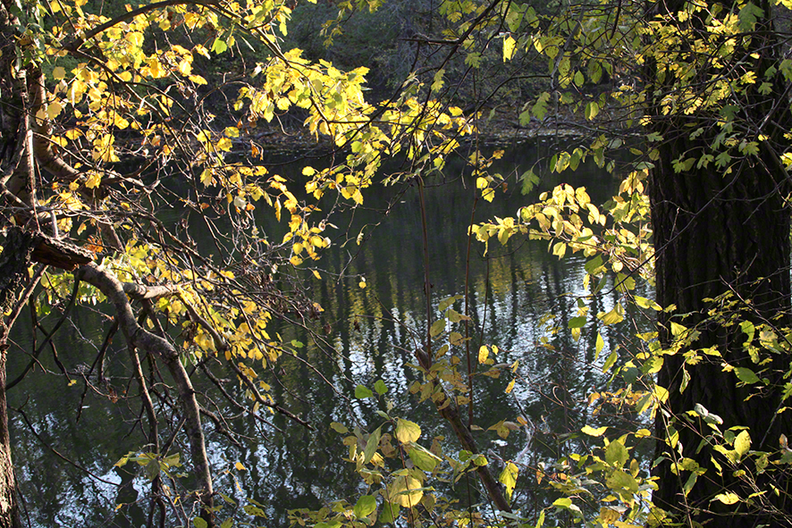 Prater - am Heustadlwasser