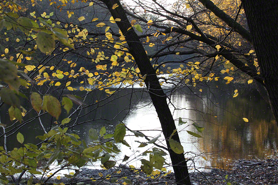 Prater - am Heustadlwasser