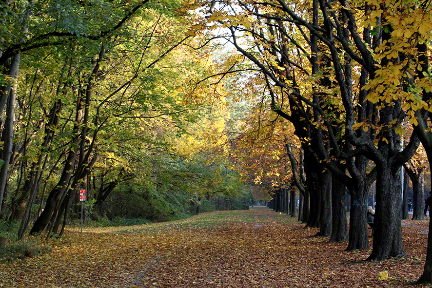 Prater-Hauptallee