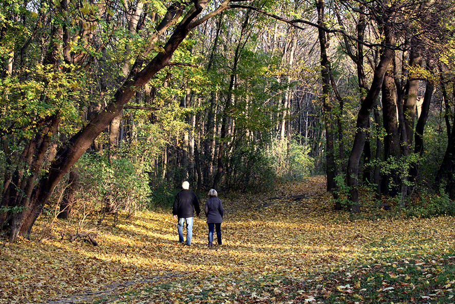 Prater-Hauptallee