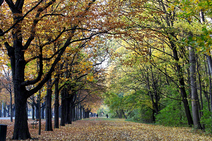 Prater-Hauptallee