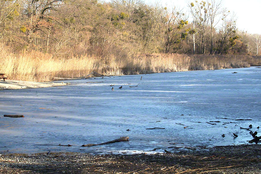 Lusthauswasser, vereist