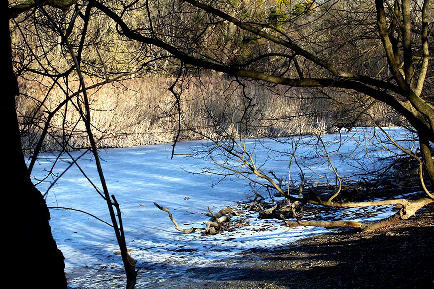 Lusthauswasser, vereist