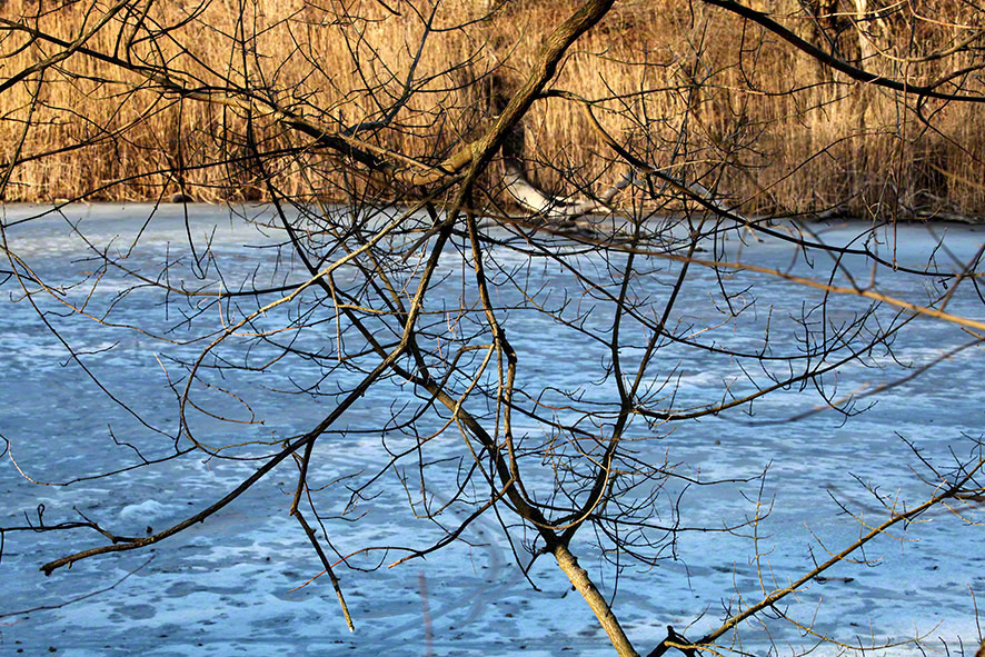 Lusthauswasser, vereist