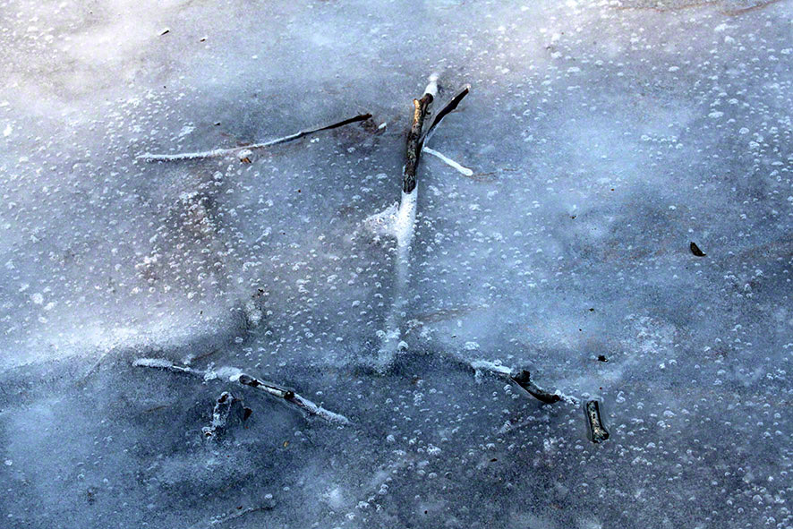 Lusthauswasser, vereist