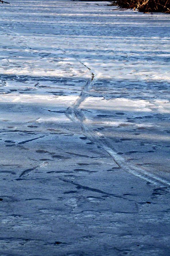 Lusthauswasser, vereist