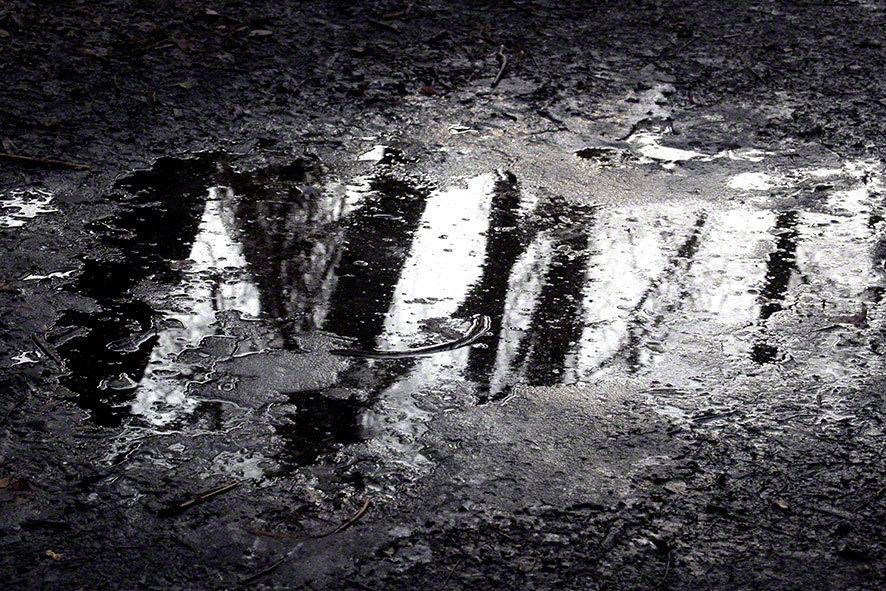 Lusthauswasser, vereist