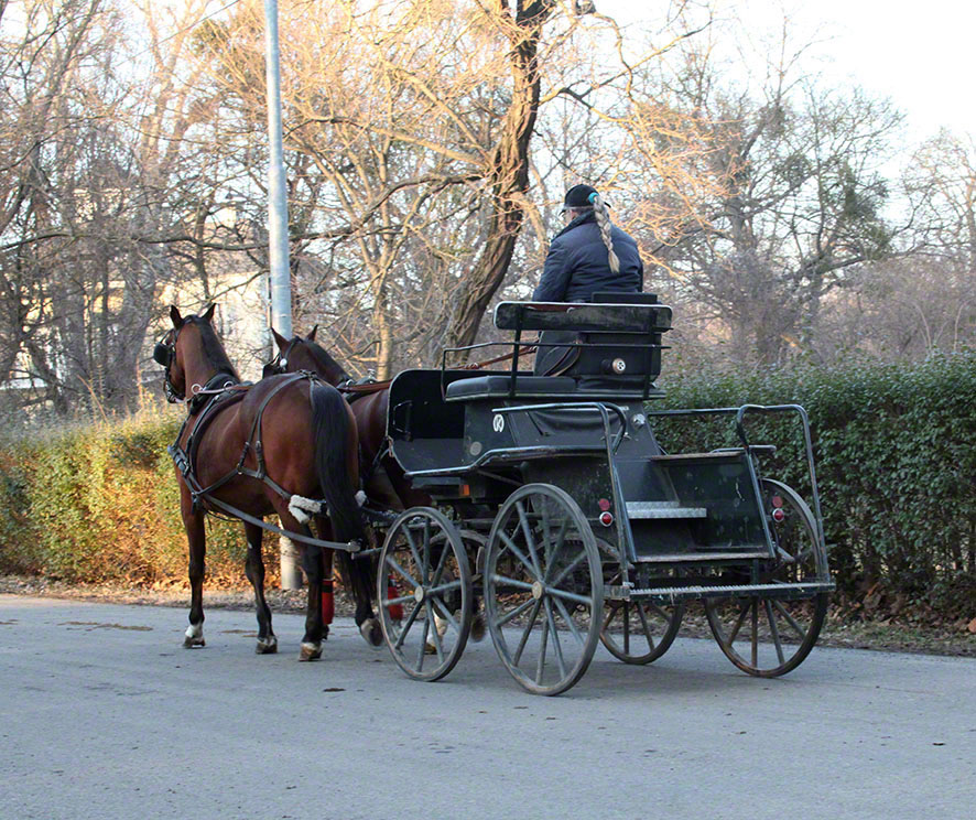 Lusthauswasser, Kutsche