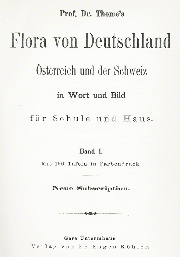 Thome Sumpf-Gladiole Gladiolus palustris