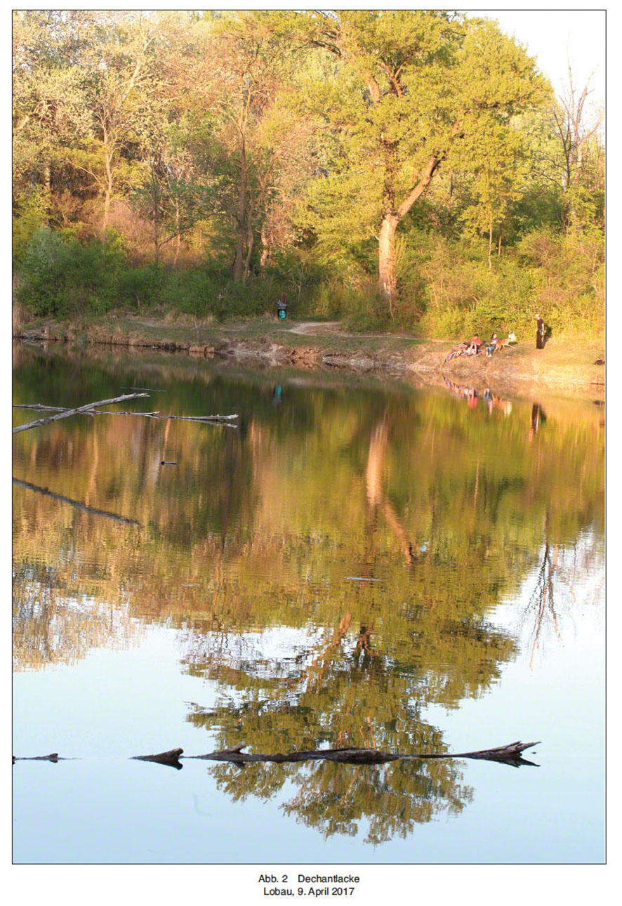 Lobau 2017